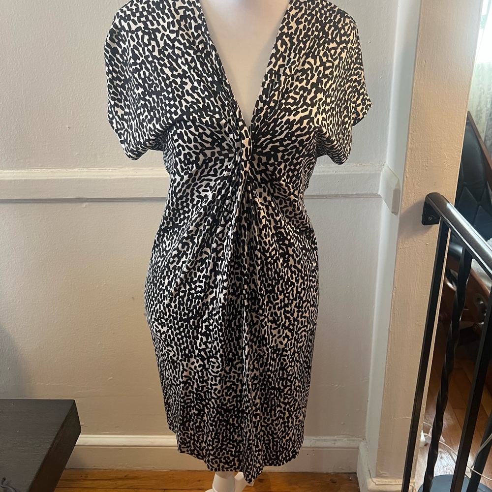 DVF Diane Von Furstenburg Natalie Silk dress